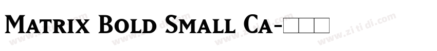 Matrix Bold Small Ca字体转换